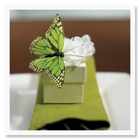 butterfly1 butterfly1