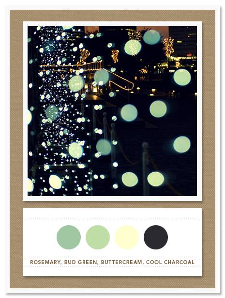 Color Card 005