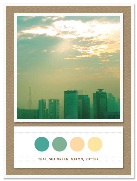Color Card 008