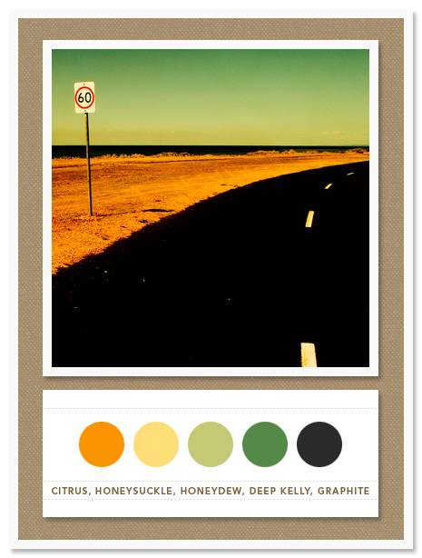 Color Card 010 Color Card 010