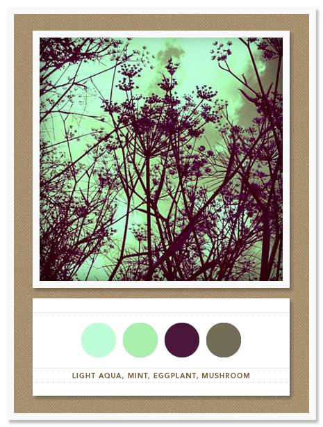 Color Card 016 Color Card 016