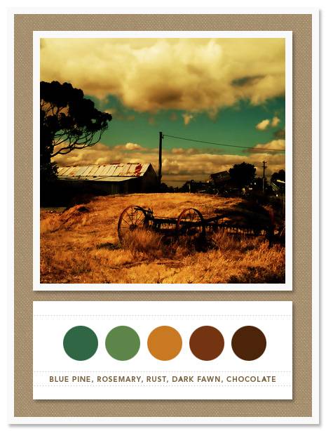 Color Card 017 Color Card 017