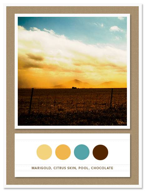 Color Card 013