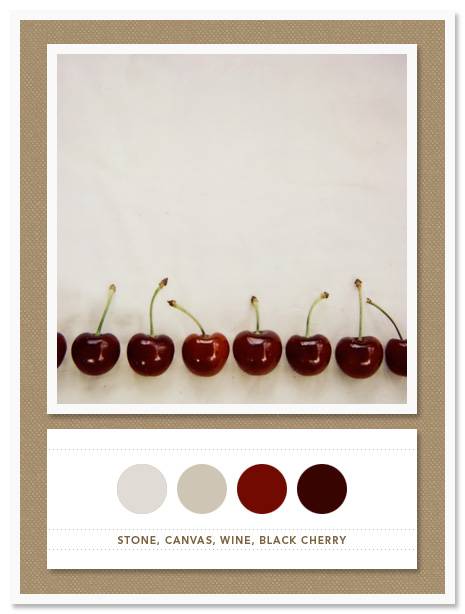 Color Card 021