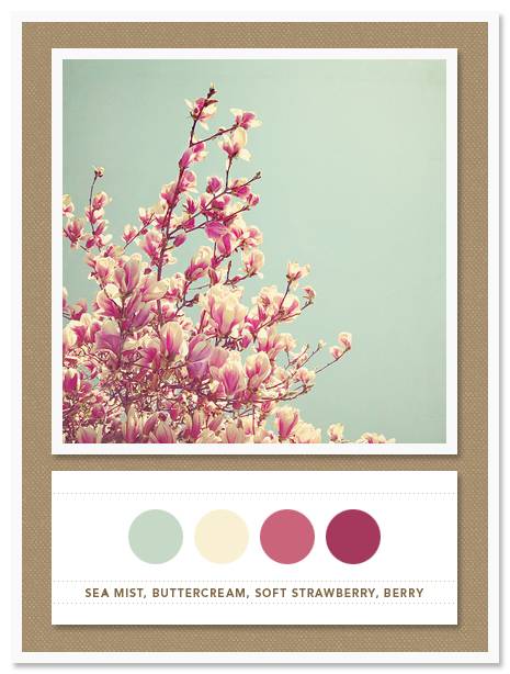 Color Card 032