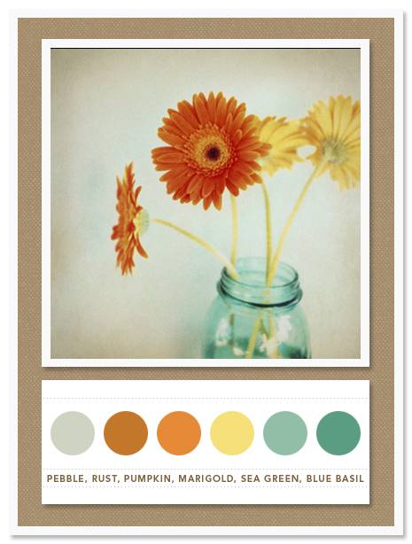 Color Card 025