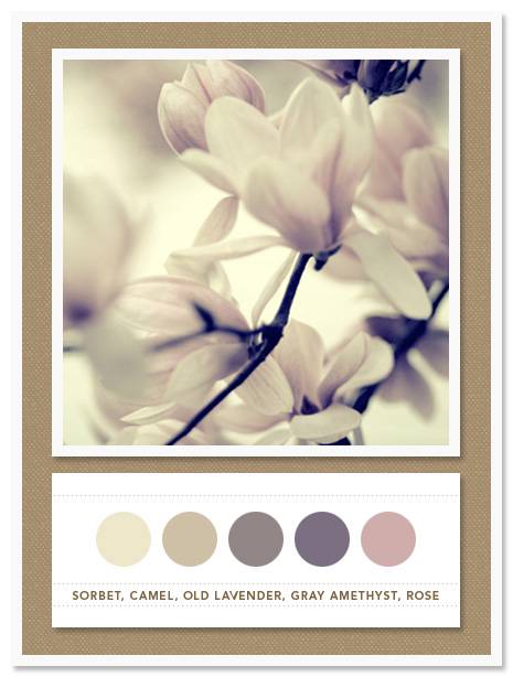 Color Card 026