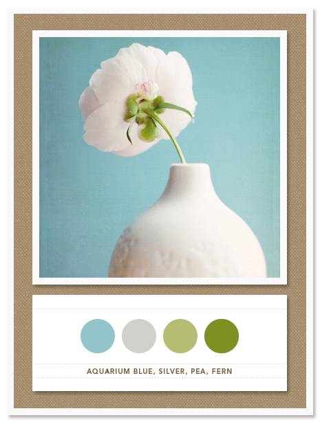 Color Card 027