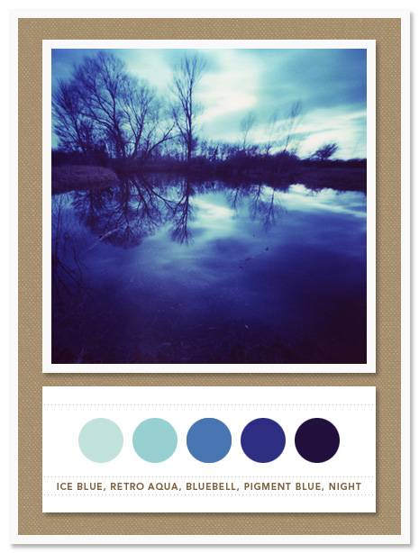 Color Card 029