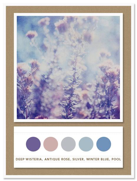 Color Card 030