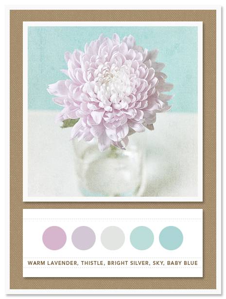 Color Card 033