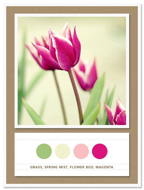 Color Card 034 Color Card 034