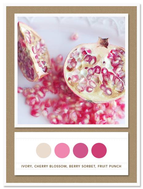 Color Card 035