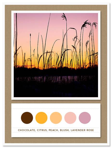 Color Card 038