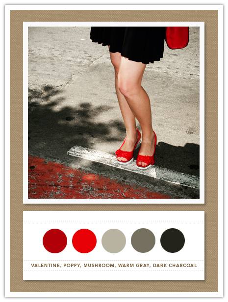 Color Card 040