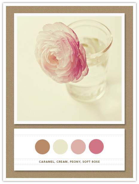 Color Card 043