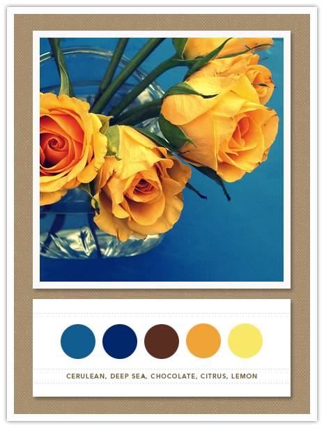 Color Card 046