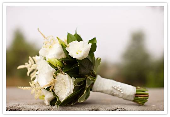 Real Wedding: Meridith + Colin