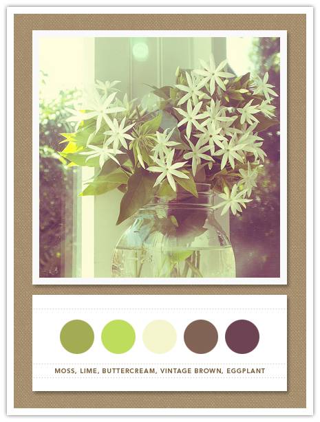 Color Card 050