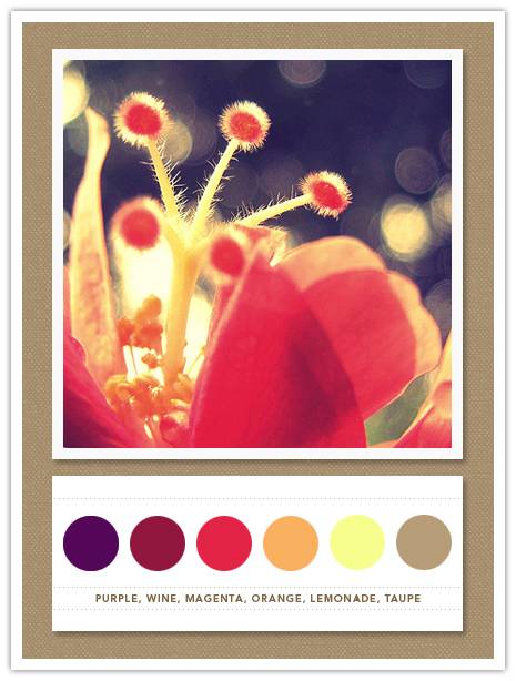 Color Card 049