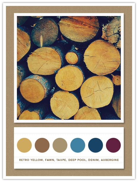 Color Card 059