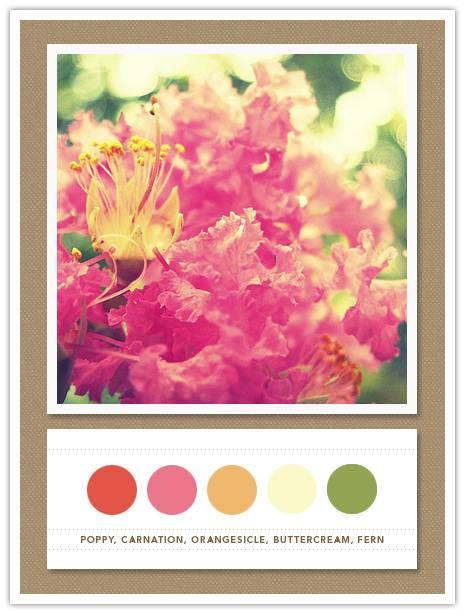 Color Card 051