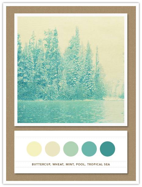 Color Card 065