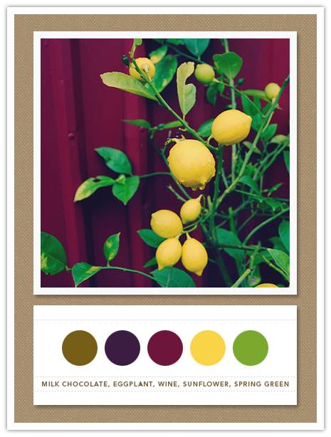 Color Card 062