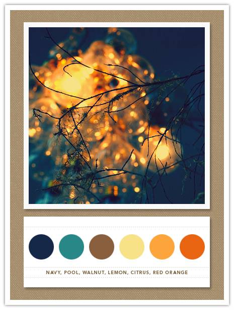Color Card 061