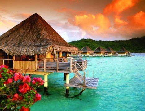 Wedding Planning: What to Take Care of 6-9 Months In Advance Tropical Honeymoon Destination