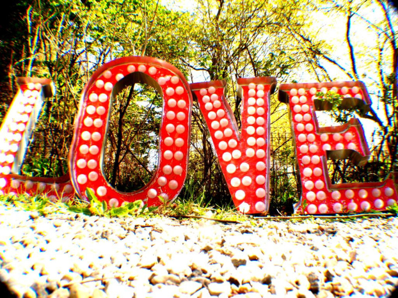 onewed.com