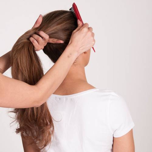 Polished Ponytail_Step 4