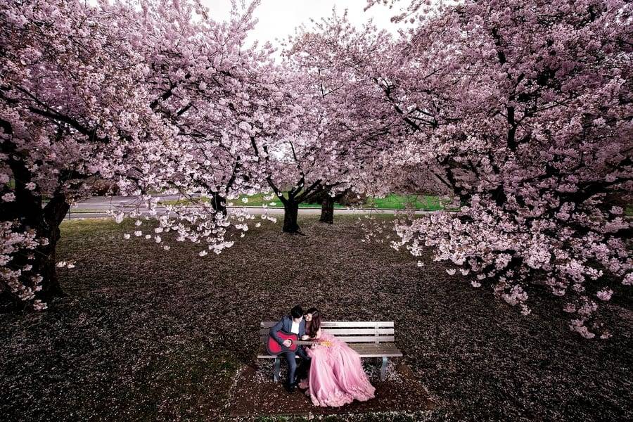 Lee Chan Photography (6)