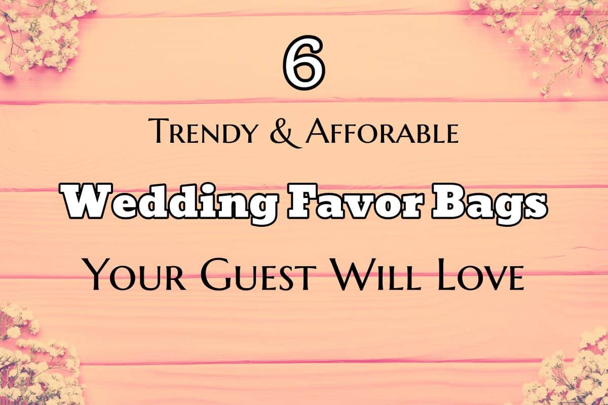 6 Trendy And Affordable Wedding Favor Bags Your Guest Will Love