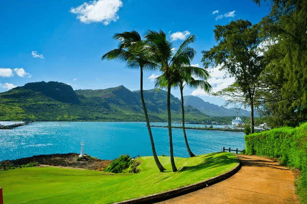 Renew Wedding Vows in Hawaii, Affordably! 55