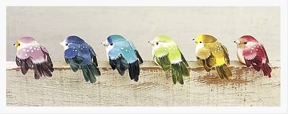 Mushroom Birds Mushroom Birds