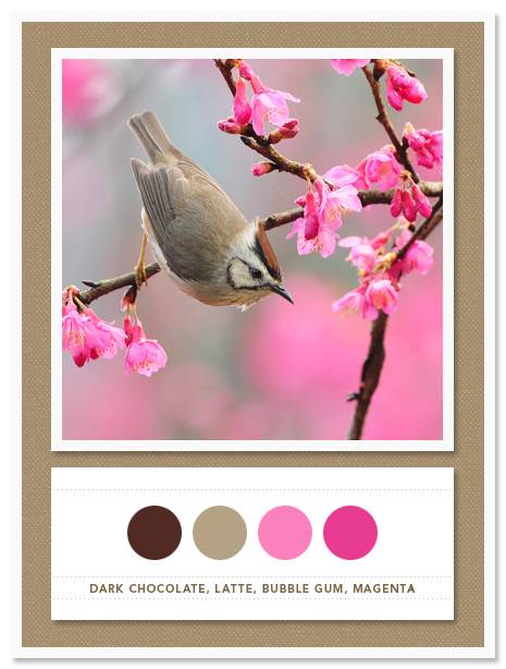 Color Card 003