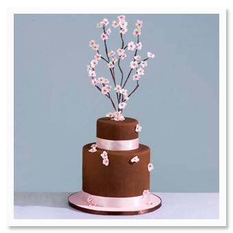 cake2 cake2