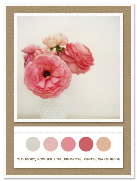 Color Card 019 Color Card 019