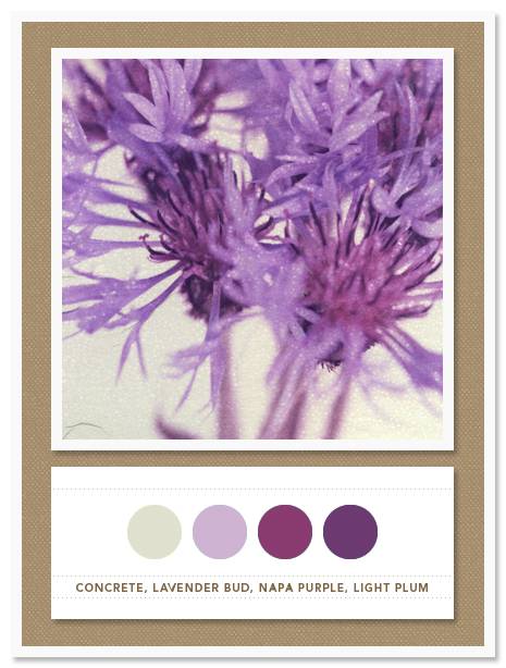 Color Card 020