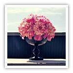 Peony Pomander Urn