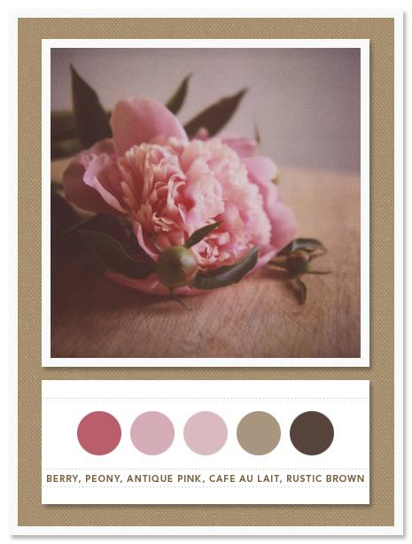 Color Card 028