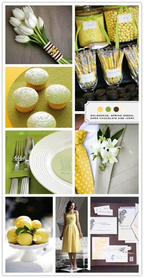 Goldenrod, Spring Green, Dark Chocolate, and Ivory