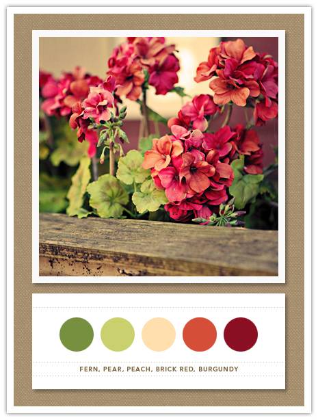 Color Card 072: Fern, Pear, Peach, Brick Red, Burgundy 2