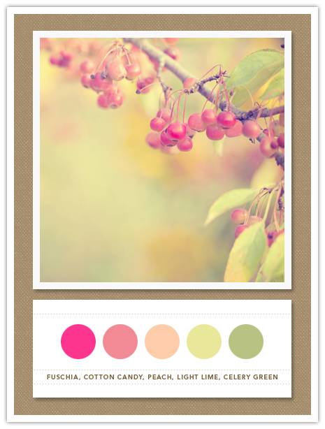 Color Card 074: Fuschia, Cotton Candy, Peach, Light Lime, Celery Green 2