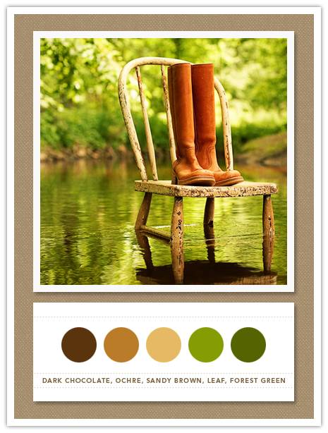 Color Card 078: Dark Chocolate, Ochre, Sandy Brown, Leaf, Forest Green 2