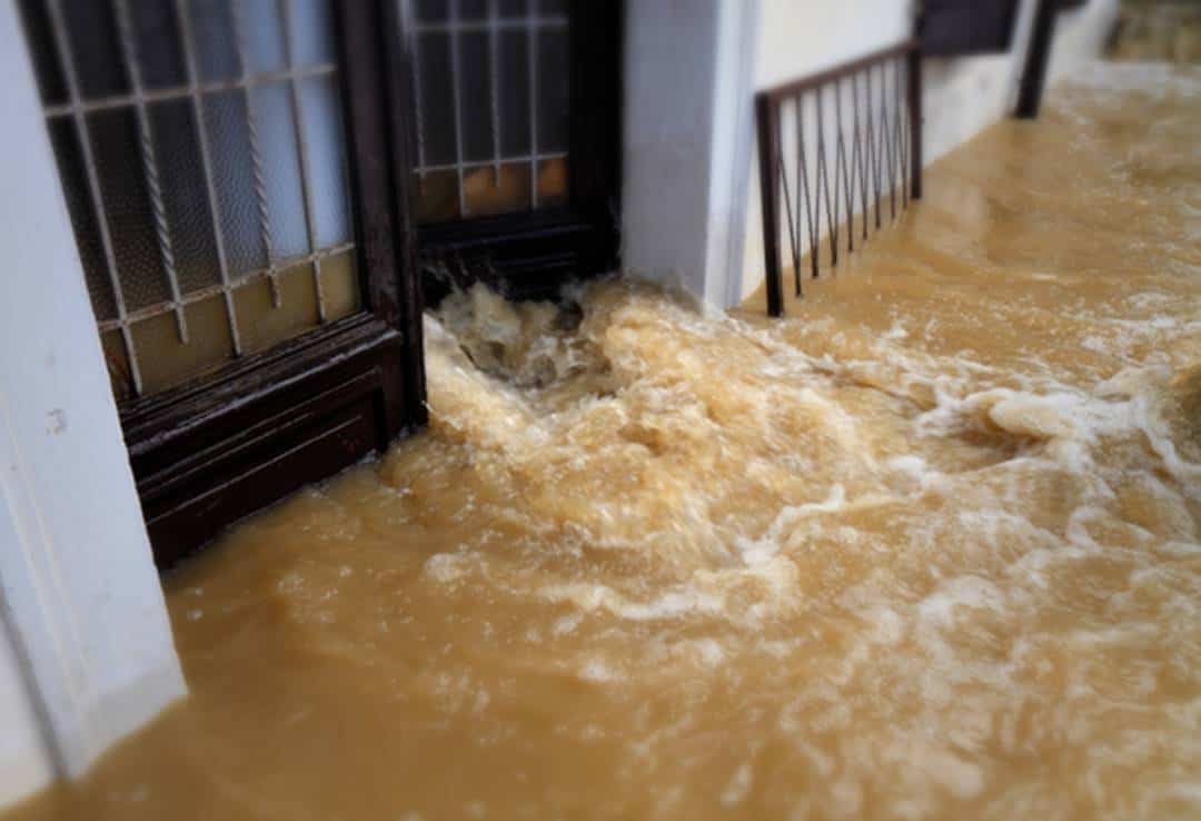 Flood