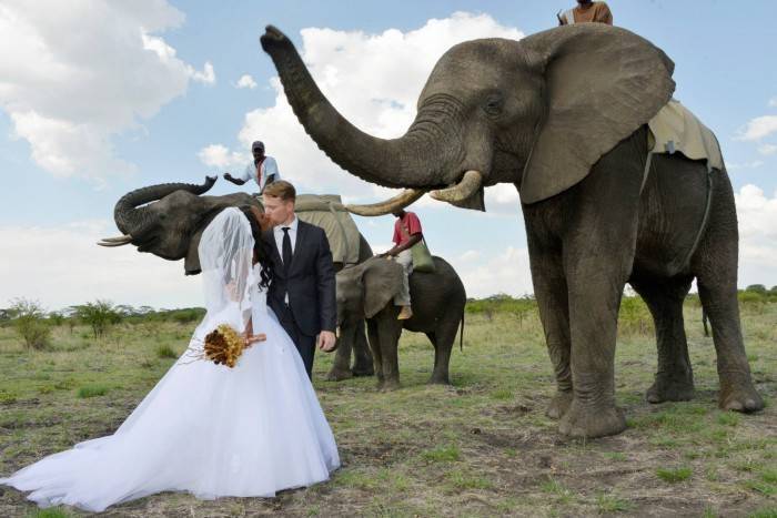 Beautiful African Wedding