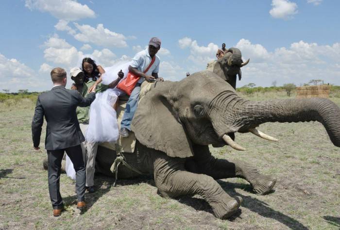 Beautiful African Wedding