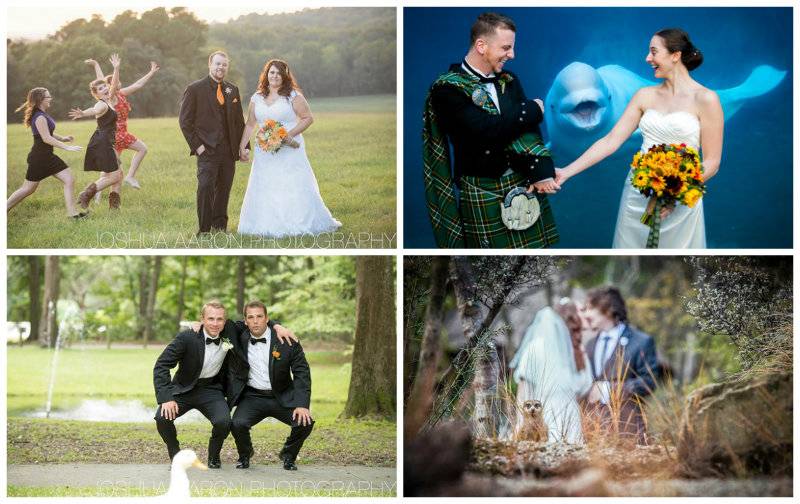 Cutest & Funniest Wedding Photobombs Ever. #20 is Hilarious, HaHa!
